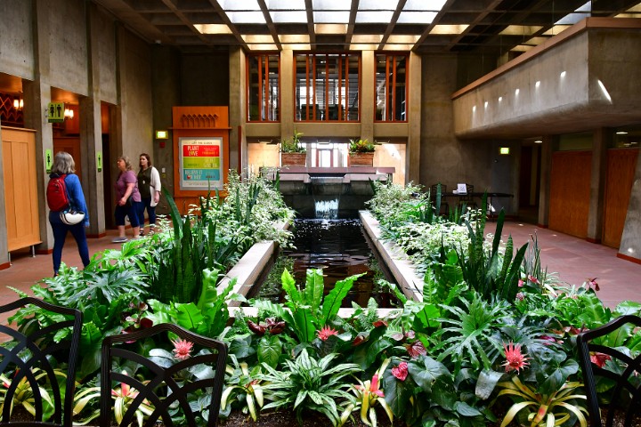 Water Feature and Gorgeous Plants Inside of the Boettcher Memorial Building